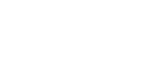 bg.webp